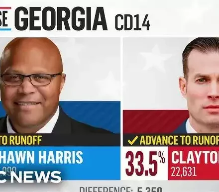 Georgia 14th District election results