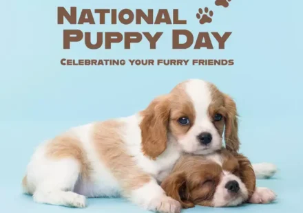 National Puppy Day 2026