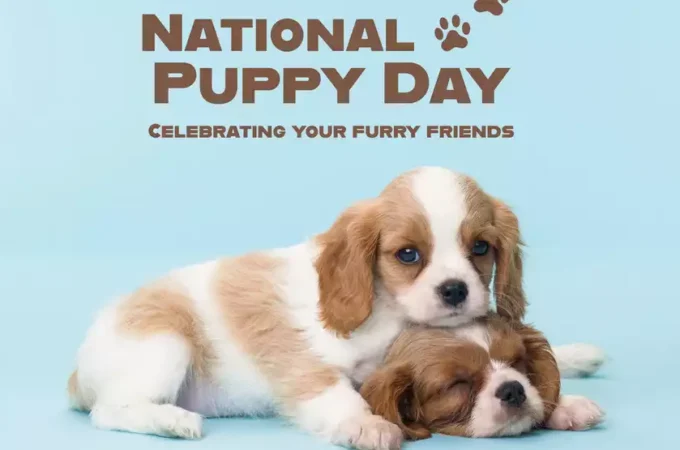 National Puppy Day 2026