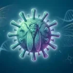 Cicada Covid Variant BA 3.2